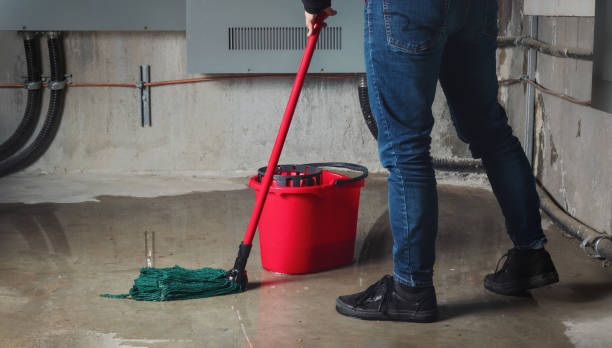 Best Flooded house restoration  in Manito, IL