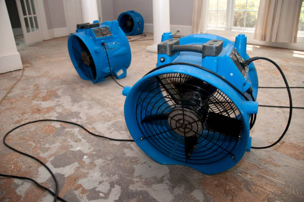 Best Professional water damage repair  in Manito, IL