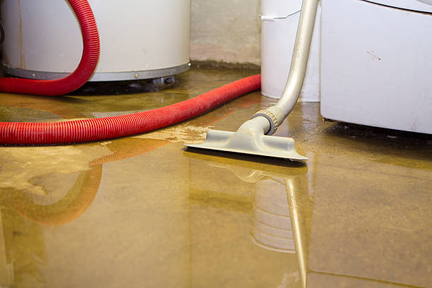 Best 24/7 water damage repair  in Manito, IL