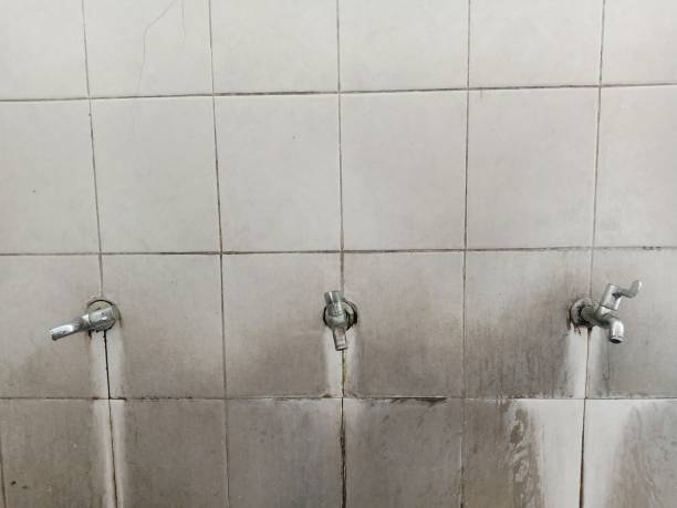 Best Commercial water damage restoration  in Manito, IL