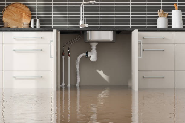 Best Sewage cleanup and water damage restoration  in Manito, IL