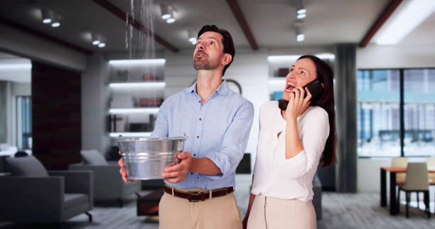 Best Commercial water damage restoration  in Manito, IL