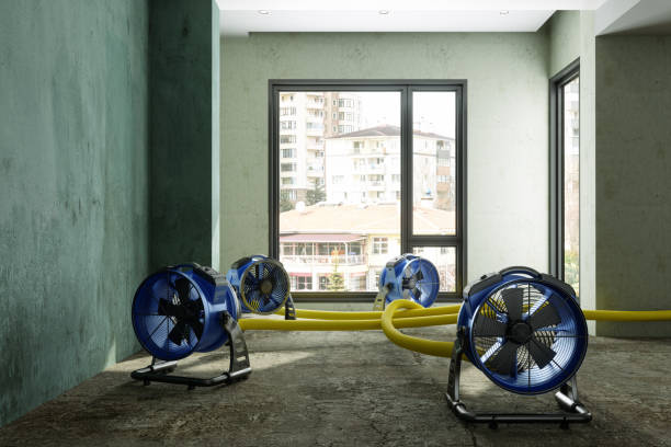 Best Water damage restoration near me  in Manito, IL