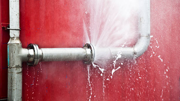 Best Water damage contractors near me  in Manito, IL